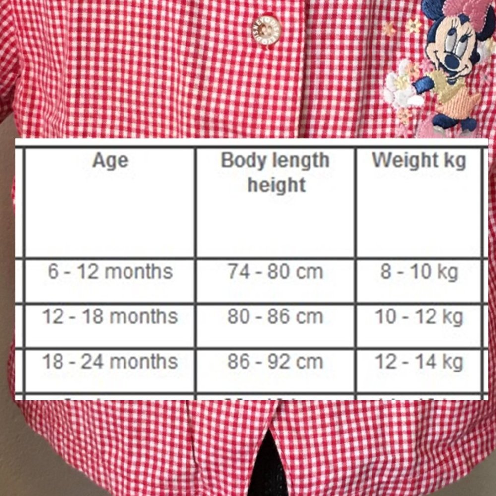 DISNEY Red Gingham "Minnie Mouse" Shirt   18-24M - Picture 11 of 12